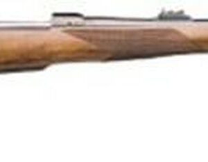 CZ 550 Bolt 416 Rigby 25 Turkish Walnut Blue