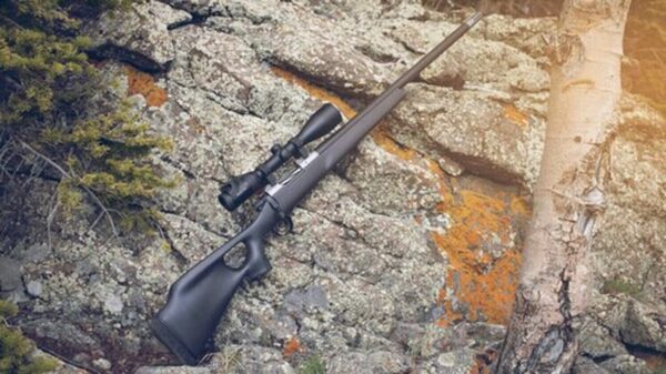 Christensen Summit Ti-Th 6.5 Creedmoor 24In 1/8 Aerograde Thumbhole Natural Carbon Finish Stock 6.5 Creedmoor
