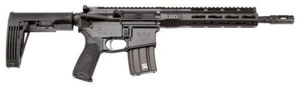 Wilson Combat Protector Carbine 300 HAM'R, 16.25", Black 6 Position Rogers Super-Stoc, Black Aluminum Receiver, 30rd