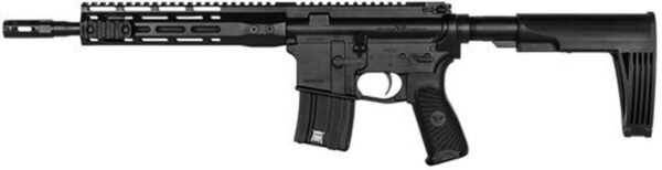 Wilson Combat Protector AR Pistol, .300 HAM'R, 11.3", 20rd, Tailhook Brace, Black