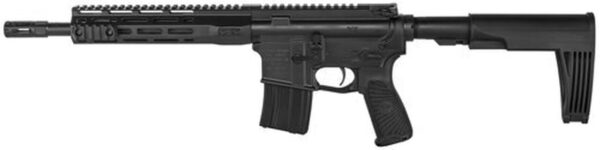 Wilson Combat Protector AR Pistol 5.56mm 11.3" Barrel, Tailhook Brace Polymer Black, 20rd