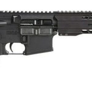 Radical Firearms Forged AR Pistol, .458 Socom, 10.5", 10rd, SBA3 Brace, Black