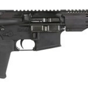 Radical Firearms Forged FCR, .300 Blackout, 10.5", 30rd, SBA3, Black