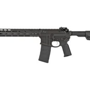 Noveske Infidel 5.56/.223, 13.7" Barrel, Magpul MOE SL Black Stock, Magpul MBUS Pro Sights, Black, 30rd
