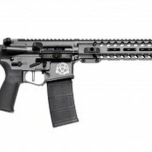 POF Renegade I.C.E. Training Rifle .223/5.56, 16.5" Barrel, Tungsten Gray, 30rd