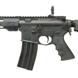 Windham RP9SFS 300 Blackout, 9" Barrel, 1:7 Twist, Flash Hider, Aluminum Receivers, Anodized Finish, Black Color, 5- Position SB Brace, Hogue Pistol Grip, 7" Forearm, Front/Rear Flip Sights, 30Rd, 1 Mag