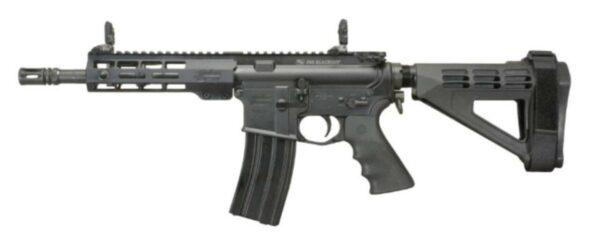Windham RP9SFS 300 Blackout, 9" Barrel, 1:7 Twist, Flash Hider, Aluminum Receivers, Anodized Finish, Black Color, 5- Position SB Brace, Hogue Pistol Grip, 7" Forearm, Front/Rear Flip Sights, 30Rd, 1 Mag