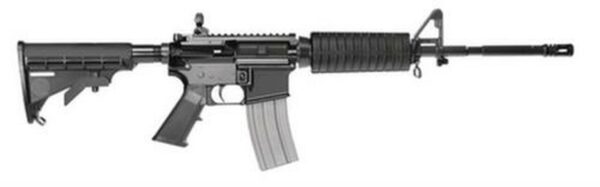 Del-Ton DEL-TON Extreme Duty 316 5.56/223 16" Carbine, Troy Folding Rear Sight Collapsible Stock, 30 Rnd Mag