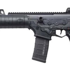 IWI US Galil Ace Pistol, .223/5.56, 8.3", 30rd, Black Polymer