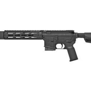 Tactical Solutions TSAR-300 .300 Blackout, 16" Barrel, TacSol XG Pro forend, M-LOK, Black, 10rd