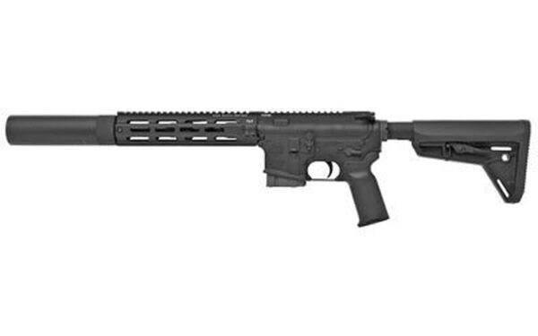Tactical Solutions TSAR-300 .300 Blackout, 16" Barrel, TacSol XG Pro forend, M-LOK, Black, 10rd