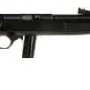 Mossberg 802 Plinkster, .22 LR, 18", 10rd, Blued, Black
