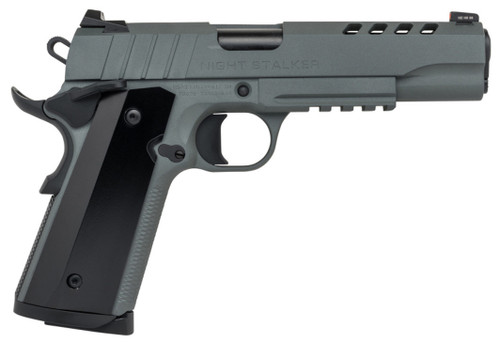 Tisas 1911 Night Stalker 10mm, 5" Barrel, Gray Cerakote, 8rd - Firearm | The Gun Shop
