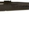 Ruger American 30-06, Black/Syn