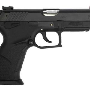 Bersa S/D 45 (ACP) 4.3" Barrel, Black Polymer Grip Black Pistol, 10rd