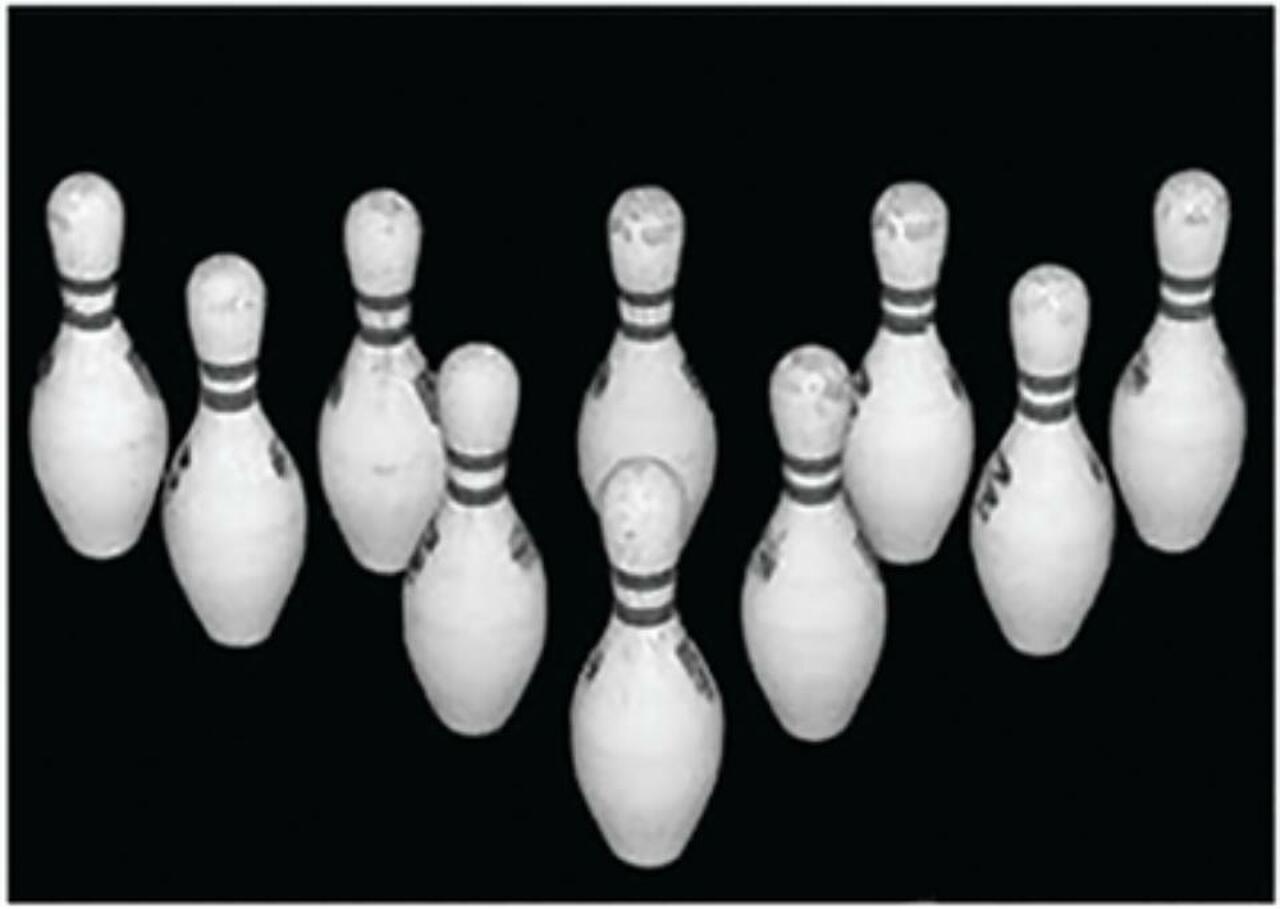 Looper Law Enforcement Bowling Pin Targets Black and White Photo-Target with 10 Bowling Pins, Size 28x20", 100/Pack