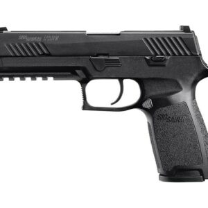 Use updated model 798681474295