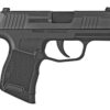 Sig P365, Striker Fired, 9mm, 3.1" Barrel, Polymer Frame, Black, XRay3 Day/Night Sights, 1 Magazine, Coupon In Box For 1 Magazine,
