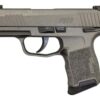 Sig P365 9mm, 3" Barrel, XRay3 Night Sights, Manual Safety, Tungsten Gray, 10rd