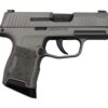 Sig P365 Tungsten Gray 9mm, 3" Barrel, Sig XRay3 Night Sights, 10rd Mag