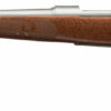 Winchester 70 Featherweight 7mm-08 Rem, 22" Barrel, Grade I Walnut Stock, Stainless Steel, 5rd