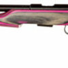 CZ 455 Varmint Evolution .17 Hmr 5 Rd Mag Gloss Pink Laminate