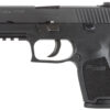 Sig P250 45 ACP Compact DAO