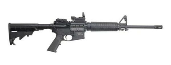 Smith & Wesson M&P 15 Sport II Custom Package, TRUGLO Reflex Sight, Hard Case & 2 Mags