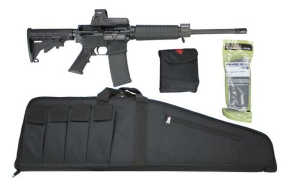 Armalite AR-15 Rifle Package, EOTech 512 Sight, Case & Mags