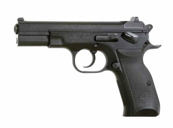 ArmaLite AR24 Pistol, Full Size, 2 15 Rd Magazines, Case