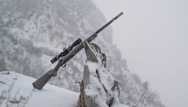 Ridgeline Titanium