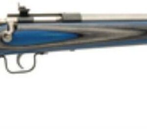 Keystone Crickett 22LR, Stainless Steel Barrel, Blue Laminate