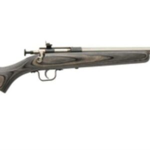 Keystone Crickett Stainless Steel Barrel Black Laminate