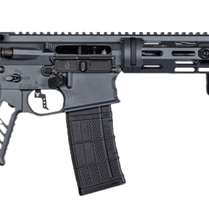 Falkor Phantom AR-15 Pistol 300 Blackout, Grey, 10.5" Barrel SBA3 Brace 30rnd Mag