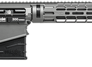 Falkor Petra AR-15 Type Rifle, 300 Win. Mag, Grey, 22in DRACOS Composite Barrel