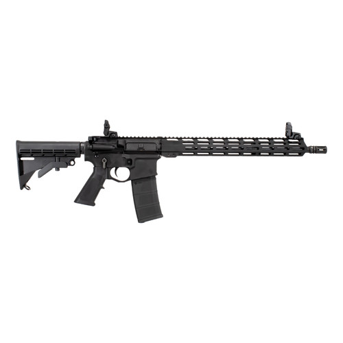 Raptor Defense RD-15 300 Blackout, 16" Barrel, Black, M-Lok Handguard, 30rd - Firearm | The Gun Shop