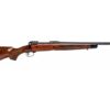 Savage 110 125th Anniversary 308 22" Barrel, AccuTrigger, Black Walnut Monte Carlo Stock, Limited to 1894 Rifles Made