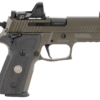 Sig P229 Legion SAO RXP 9mm, 3.9" Barrel, ROMEO1, X-Ray 3, Legion Gray, 15rd