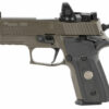 Sig P229 Legion SAO RXP 9mm, 3.9" Barrel, ROMEO1, X-Ray 3, Legion Gray, 15rd