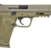 Smith & Wesson M&P9 M2.0 9mm, 5" Barrel, 3-Dot Sights, NTS, Flat Dark Earth, 17rd