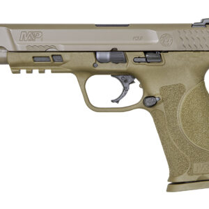 Smith & Wesson M&P9 M2.0 9mm, 5" Barrel, 3-Dot Sights, NTS, Flat Dark Earth, 17rd