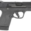 Smith & Wesson, Shield Plus, Striker Fired, Micro Compact, 9mm, 3.1" Barrel, White Dot Sights, Polymer Frame, No Thumb Safety, Flat Face Trigger, 2 Mags, 1-10Rd 1-13Rd, Black