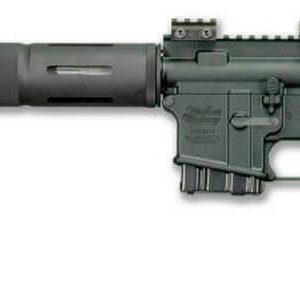 Windham Weaponry Varmint Exterminator NOT CA LEGAL, 5.56/223 20" SS Barrel CA Legal