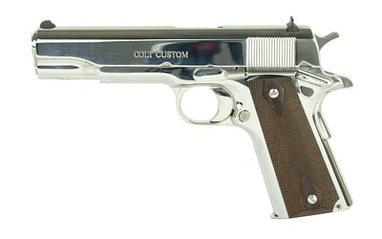 Colt Government 1911 .45 ACP 5" Stainless