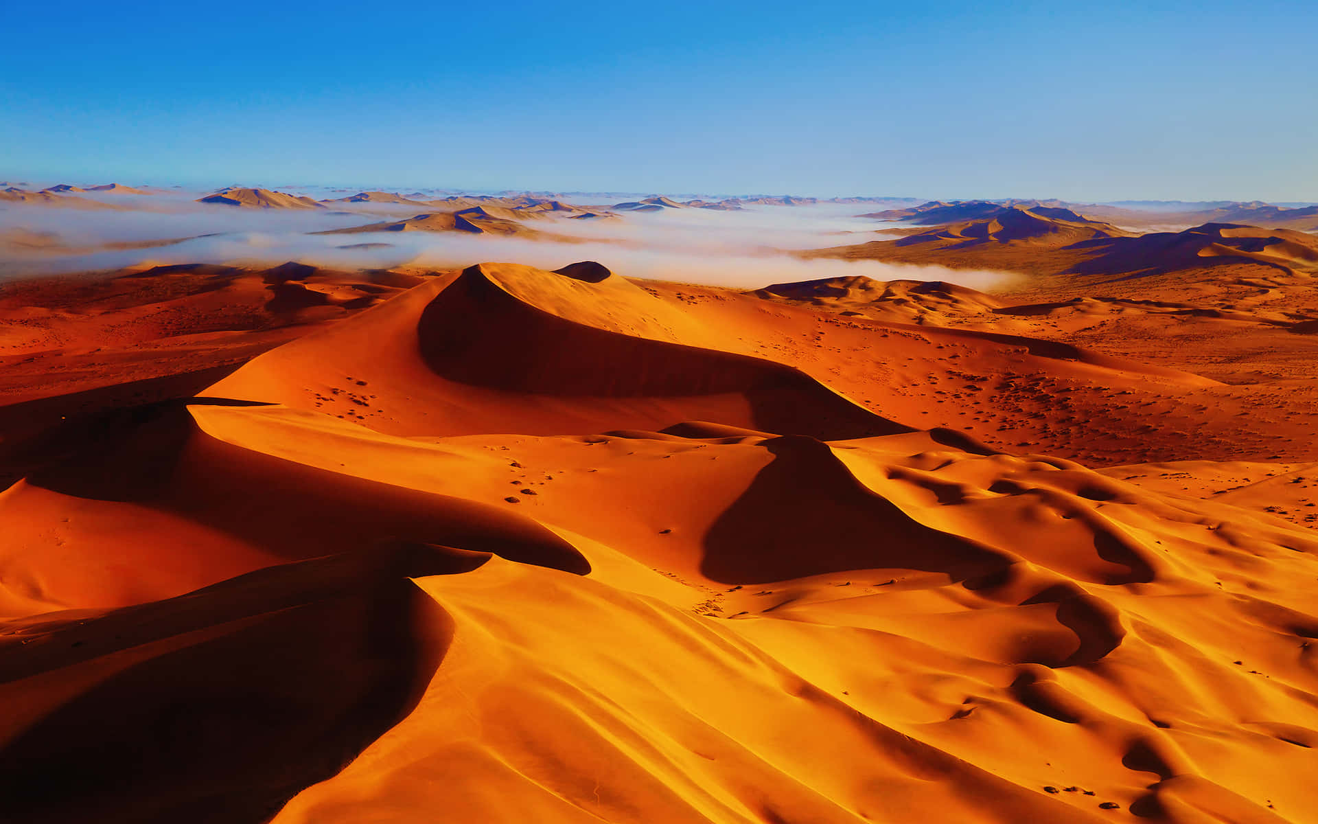 [500+] Desert Backgrounds