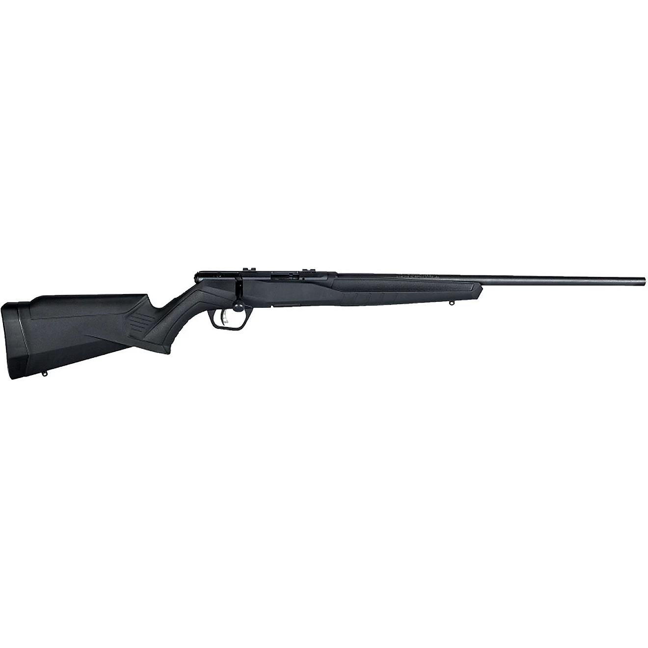 Savage Arms B17 F .17 HMR Bolt-Action Rifle | Academy