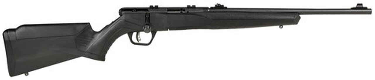 Savage Arms B22 F Compact .22 WMR Rifle
