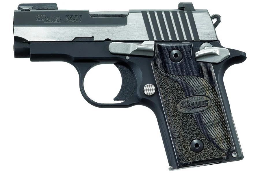 Sig Sauer P238 Equinox 380 ACP Centerfire Pistol with Night Sights ...